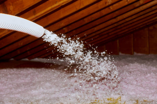 Best Spray Foam Insulation Solutions  in Chatsworth, IL