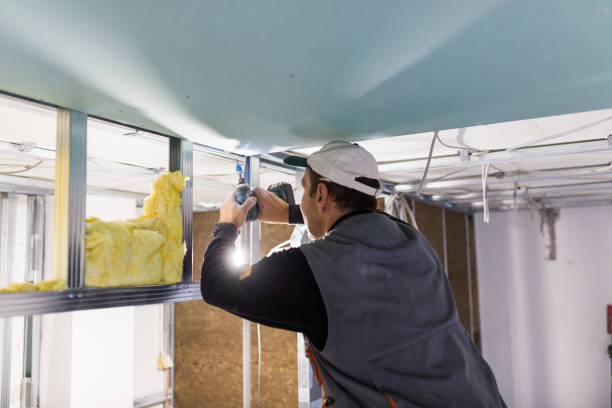 Best Best Insulation Companies  in Chatsworth, IL