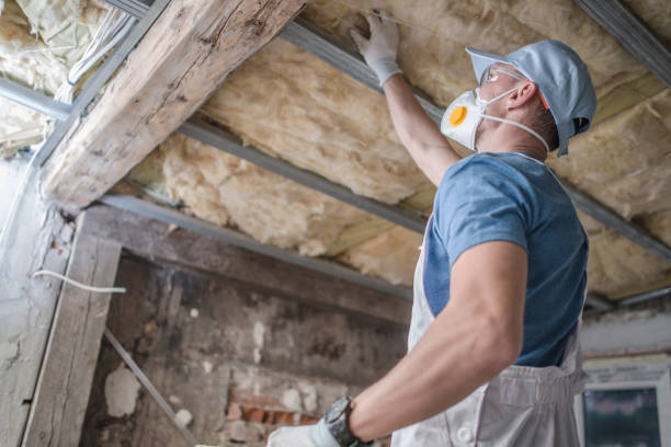 Best Cellulose Insulation  in Chatsworth, IL