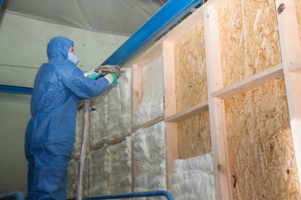 Soundproof Insulation Installation in Chatsworth, IL