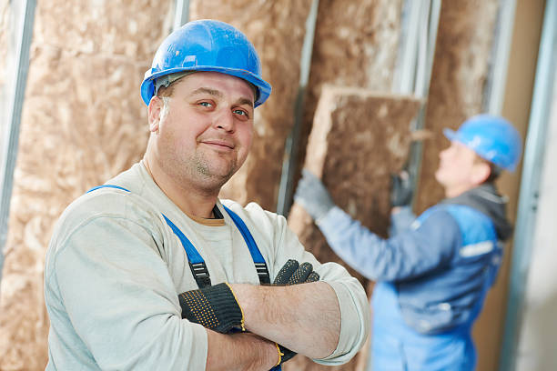 Best Blown-in Insulation  in Chatsworth, IL