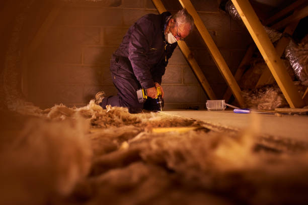 Best Crawl Space Insulation  in Chatsworth, IL